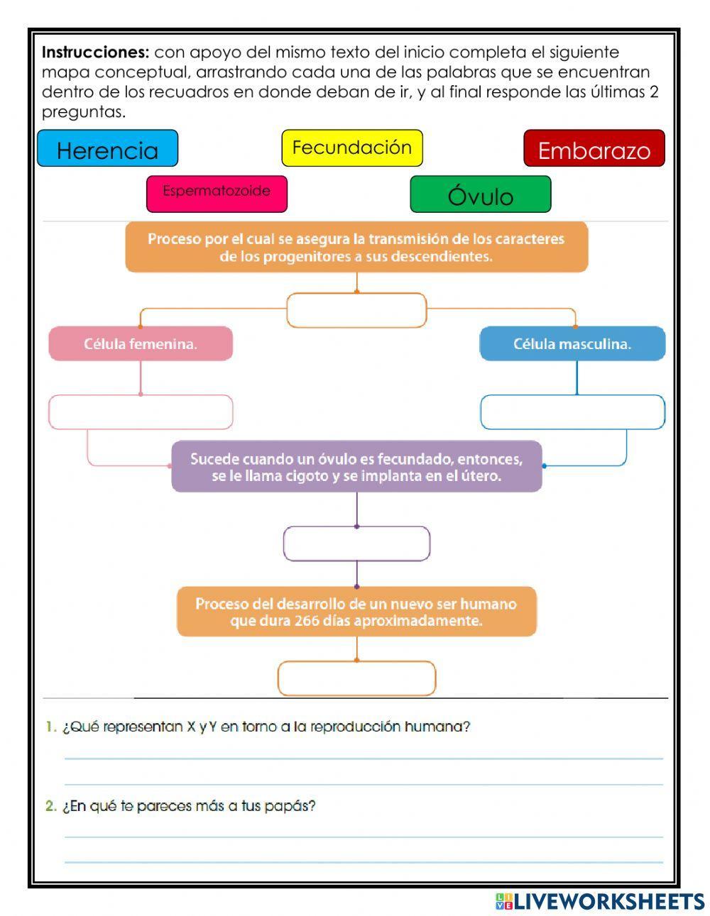 Bloque 1: ¿Cómo mantener la salud?