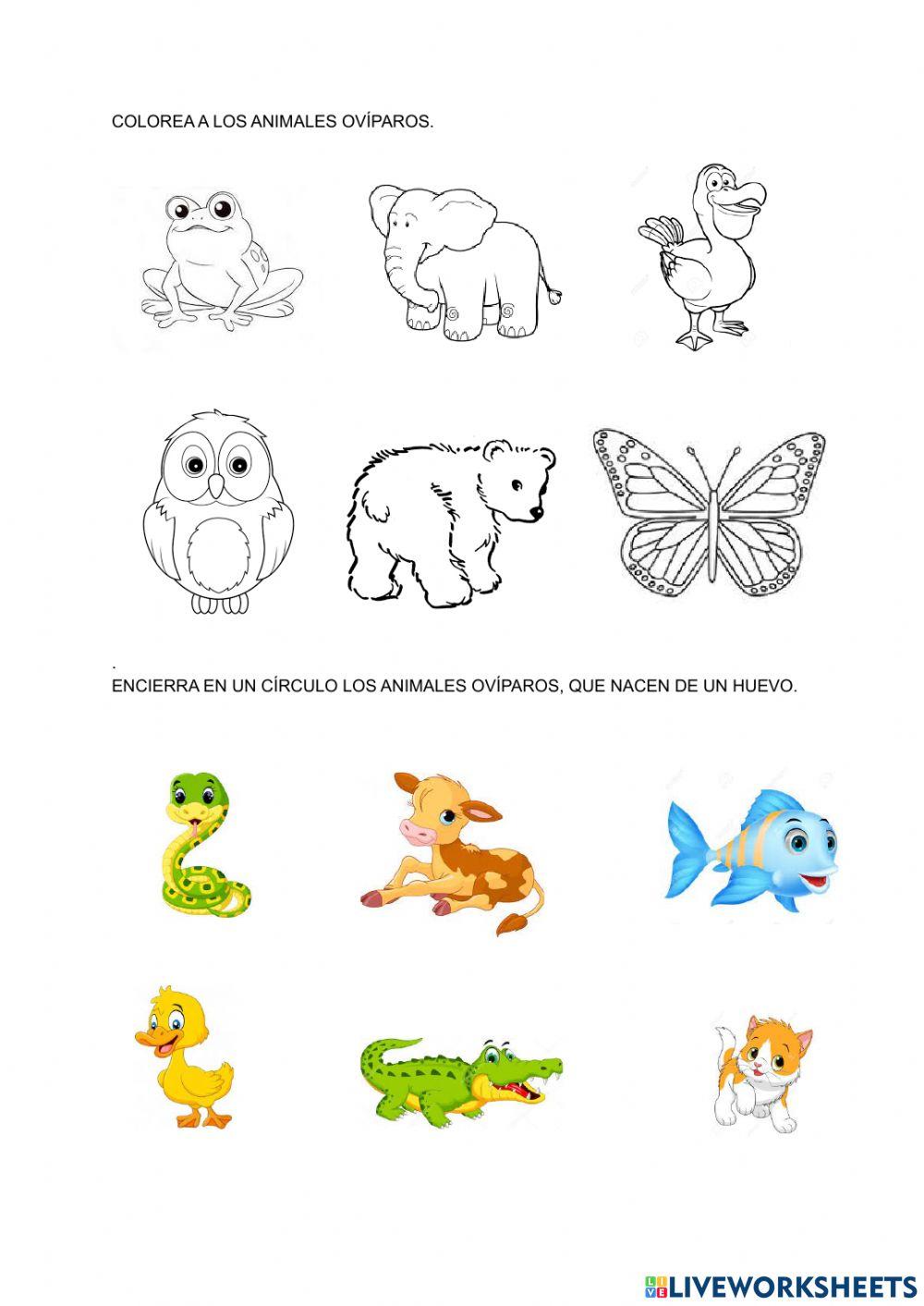 Reproducción de los animales