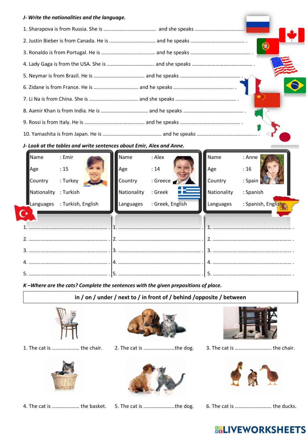 5th Grade - 1st Term 1 Exam - Preparation Sheet