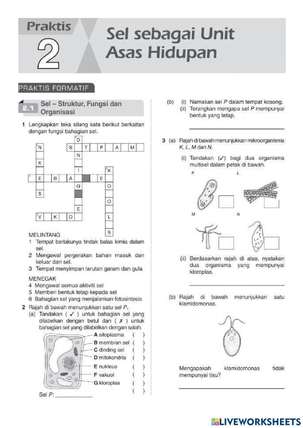 Bab 2 sel sebagai unit asas hidupan Bab 2 sel sebagai unit asas hidupan