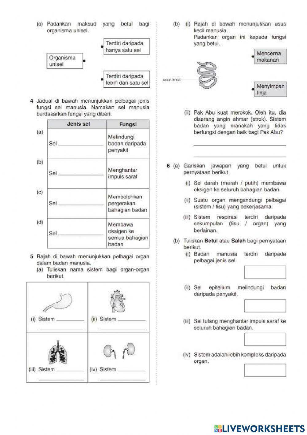 Bab 2 sel sebagai unit asas hidupan