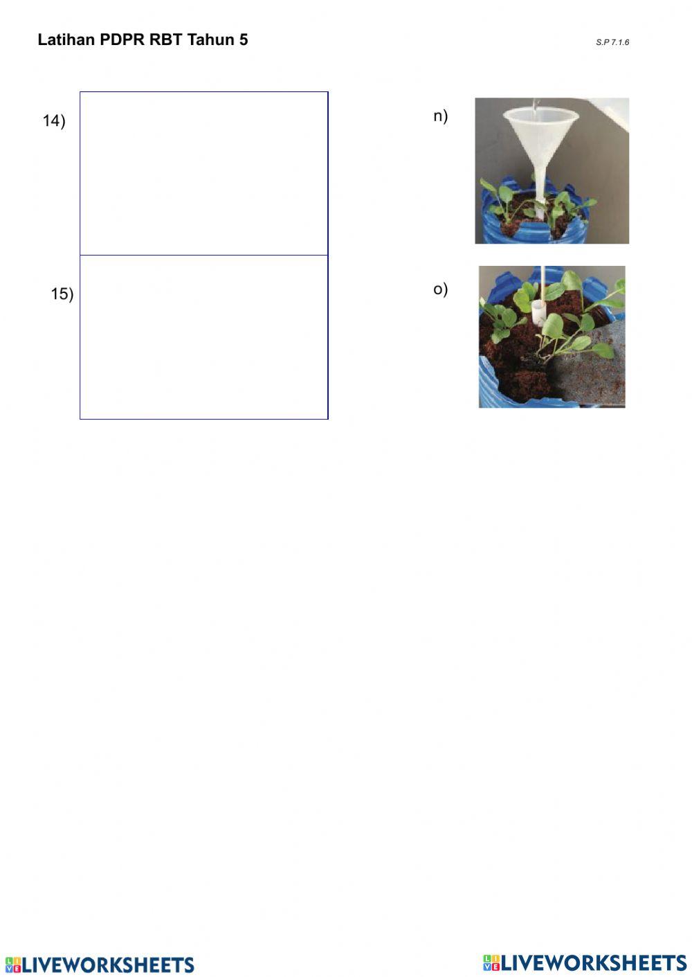 Projek Penanaman Takungan