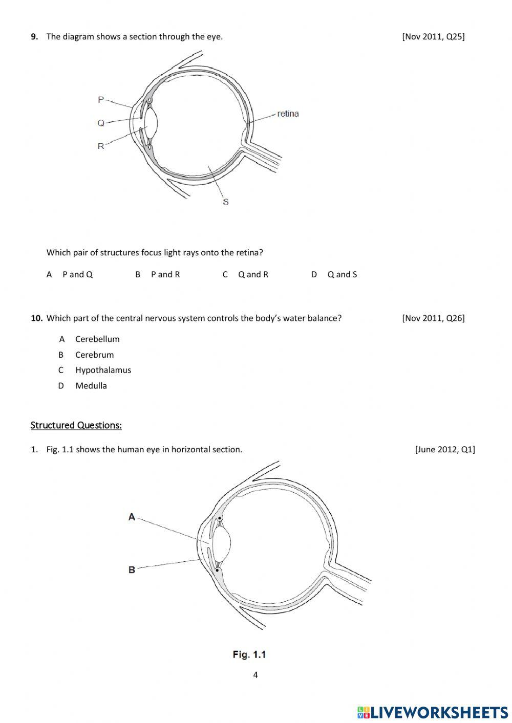 Coordination and Response