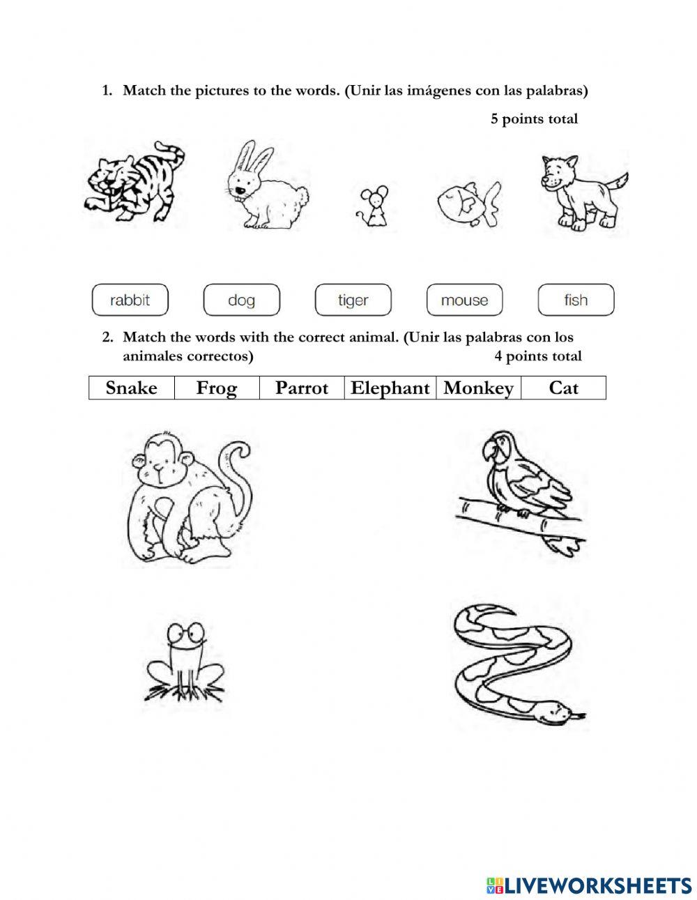 Grade 1 - English test