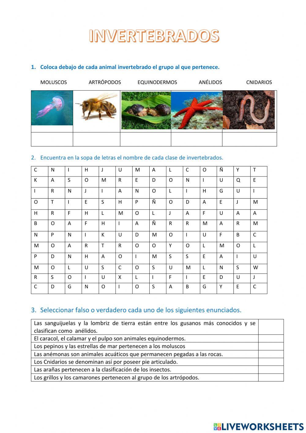 Animales invertebrados