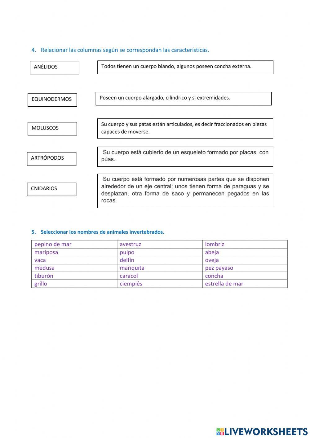 Animales invertebrados