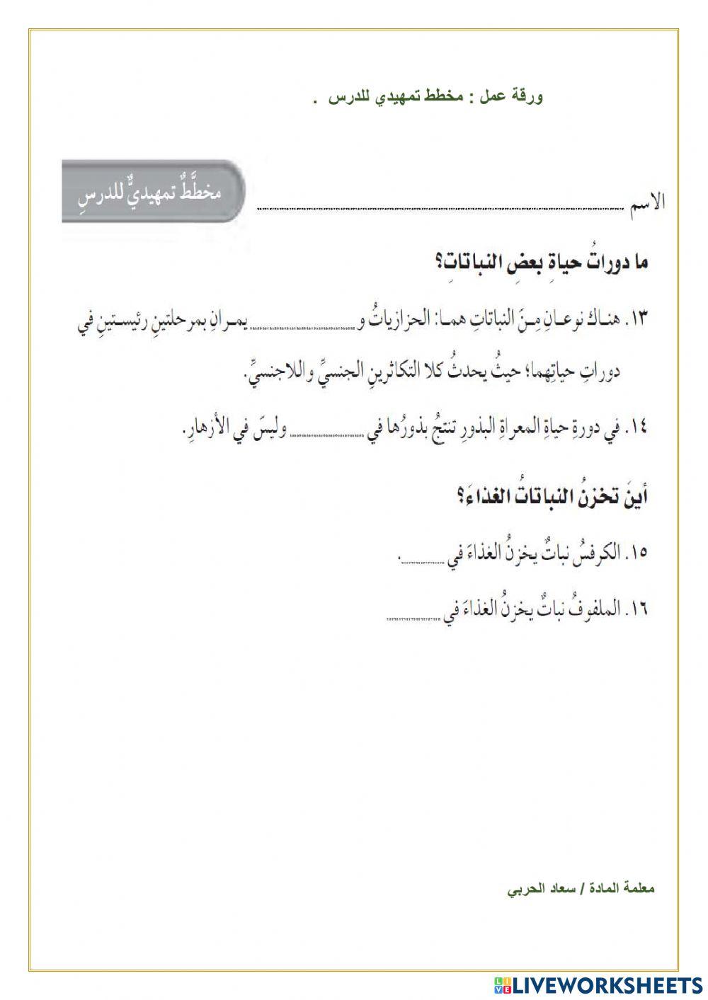 عمليات الحياة في النبات