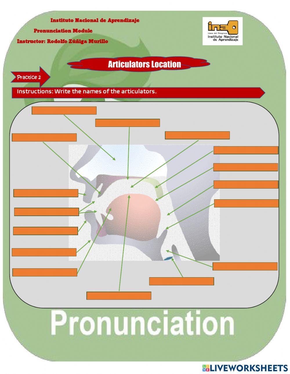 Articulators location