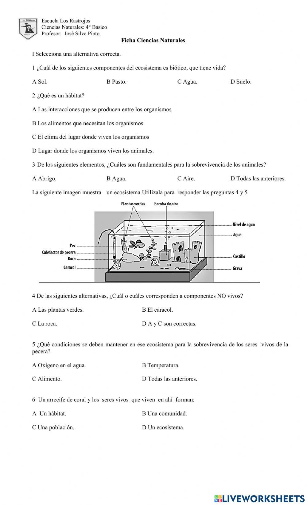 Ficha Relación Seres vivos y elementos no vivos