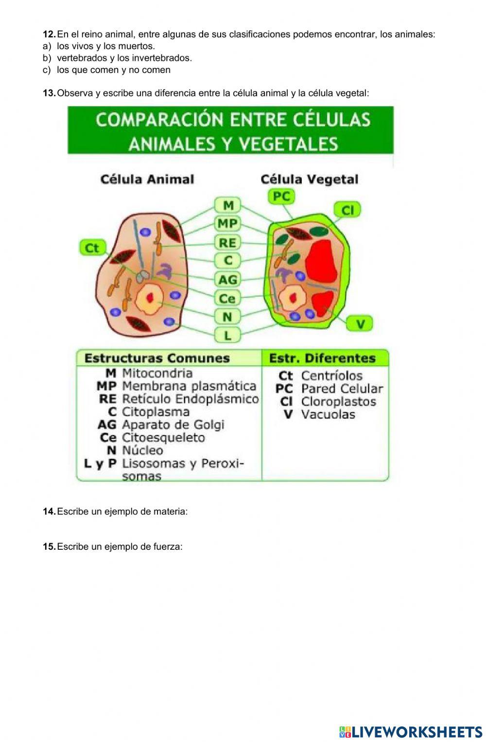 Examen Naturales 1er periodo