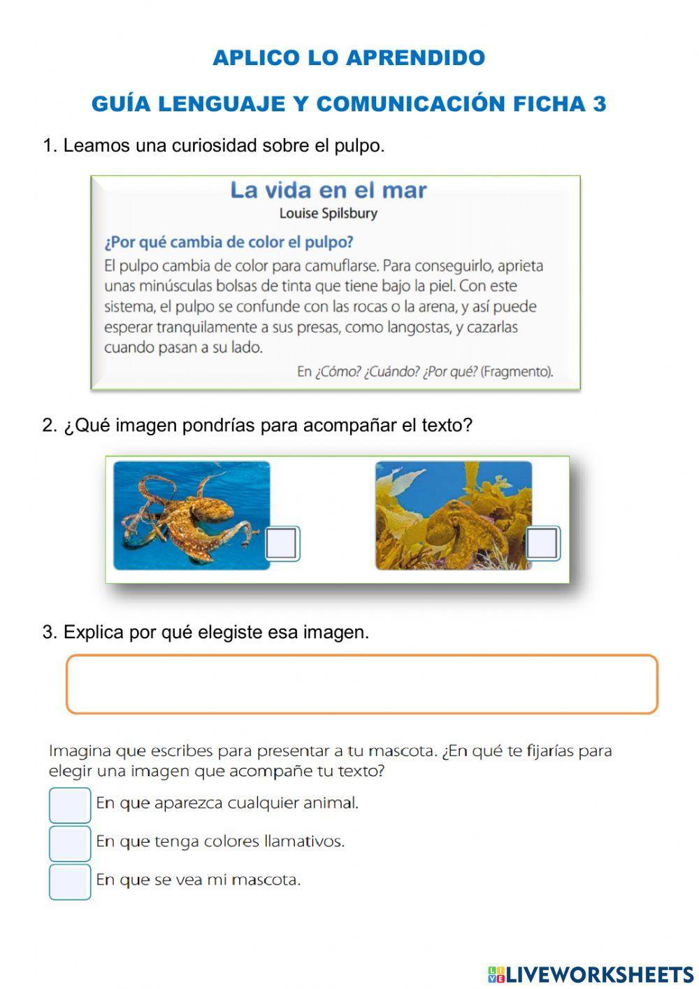 Artículo informativo