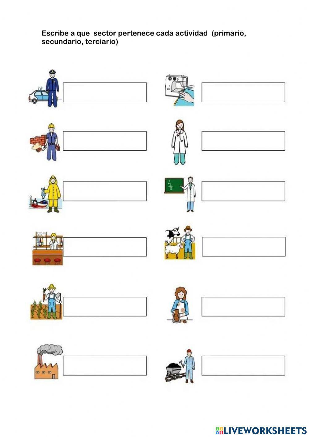 Sectores de la economía