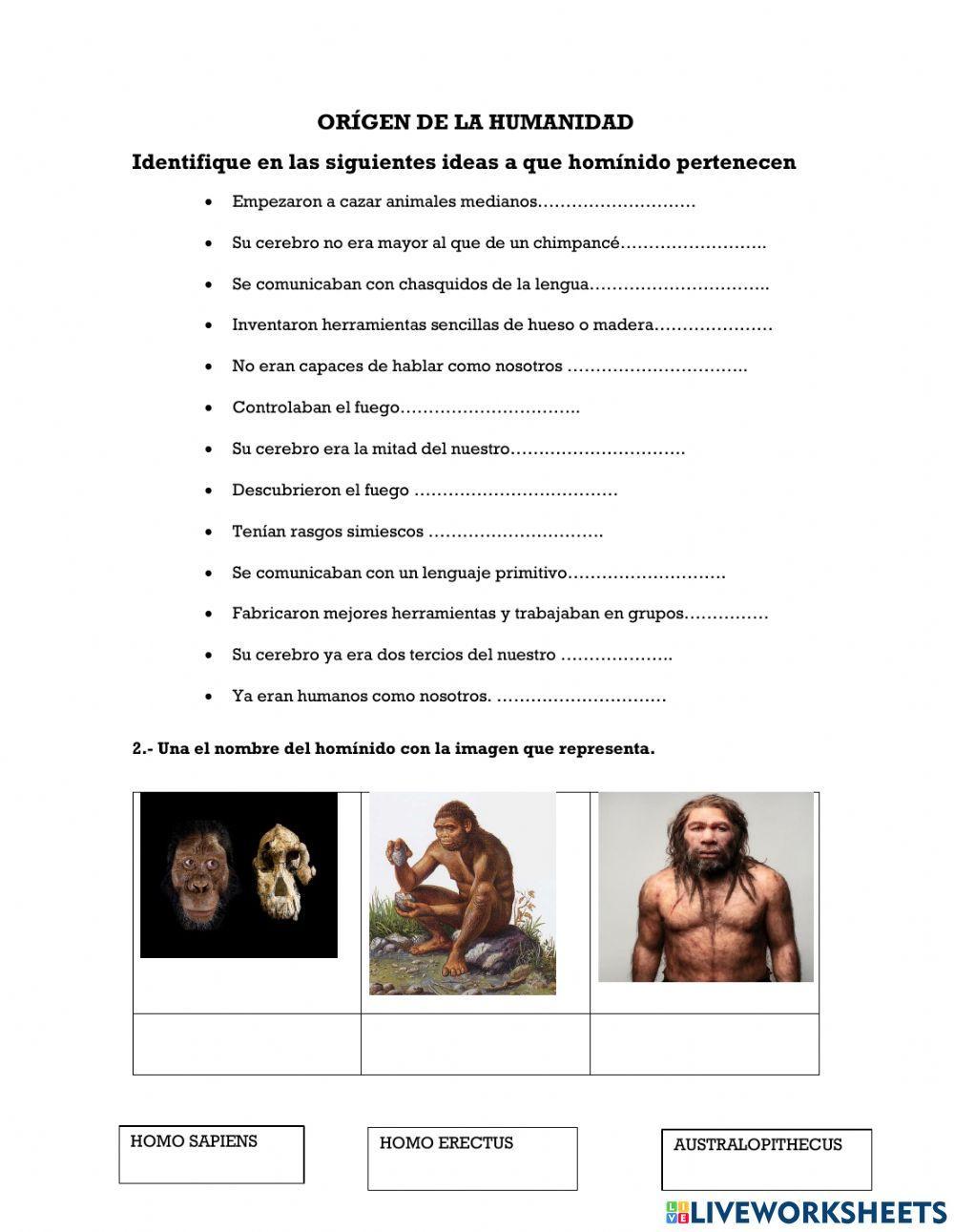 Orígen de la humanidad