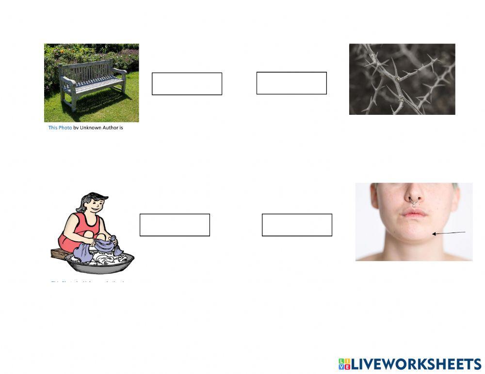 Sh, Ch, Th  Digraphs