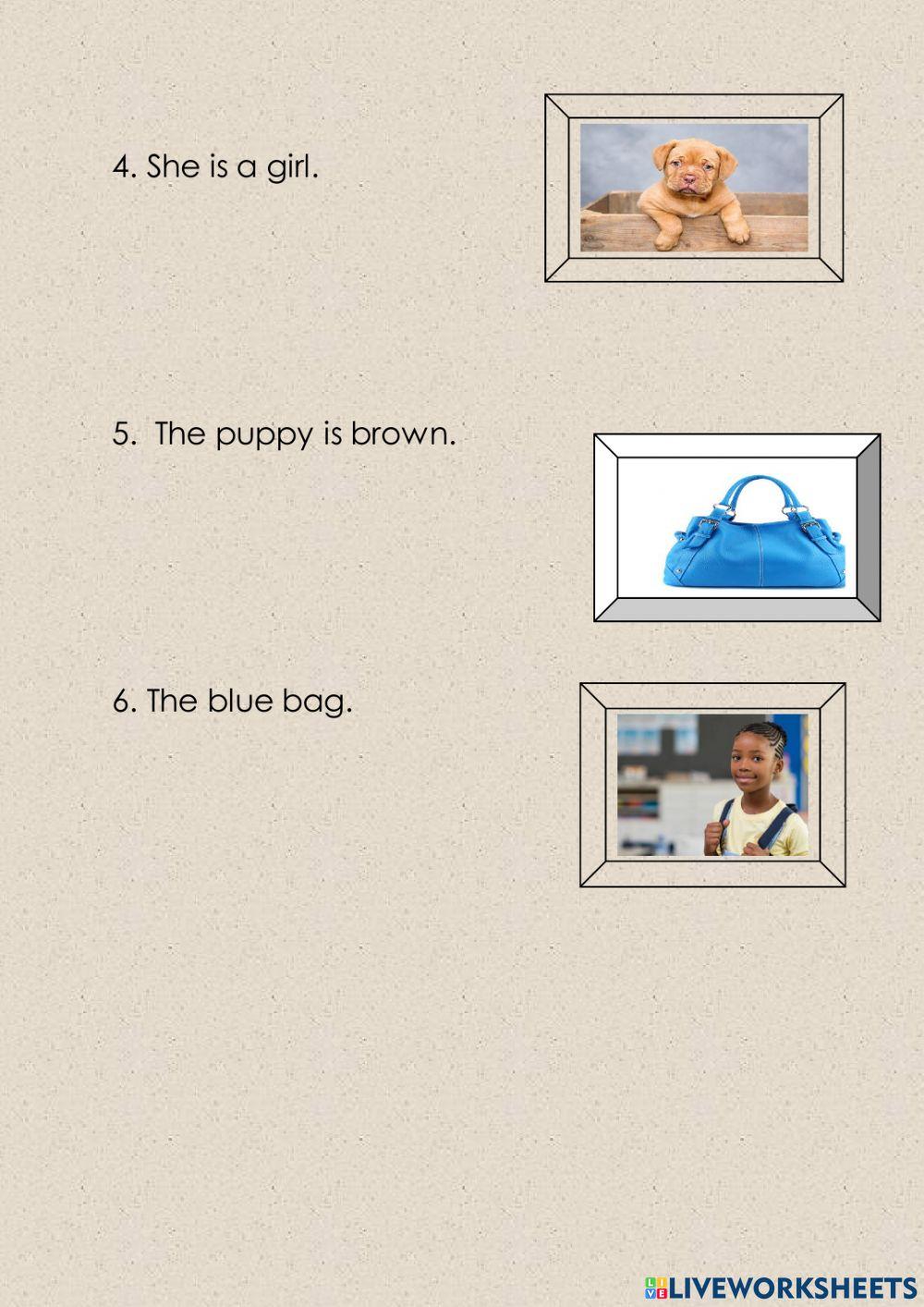 Picture words association