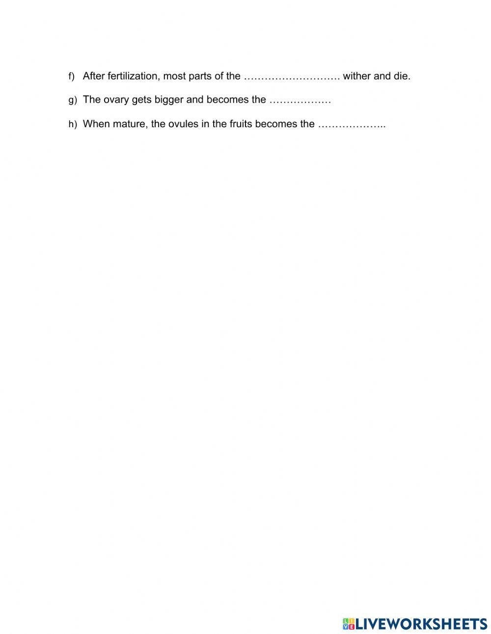 Exercise 15.9 (fertilisation & seed and fruit formation))