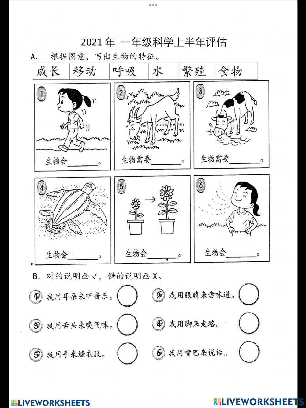 一年级科学 生物的特征