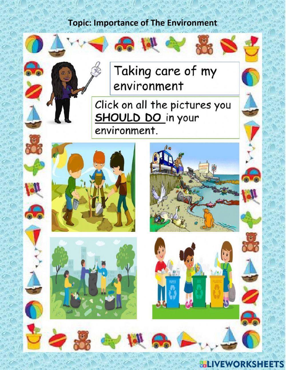 Importance of The Environment