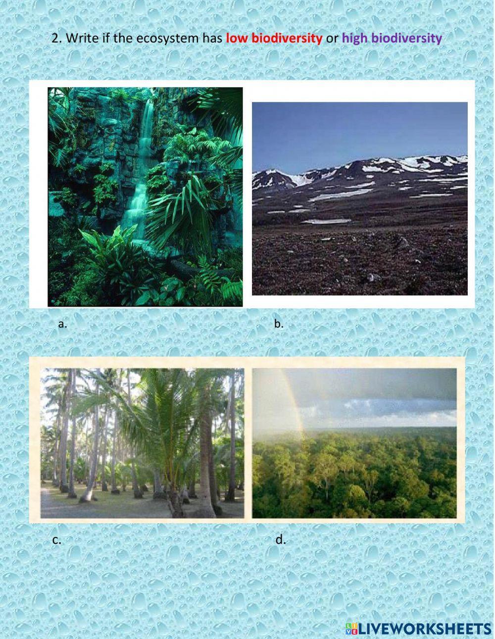 Importance of The Environment