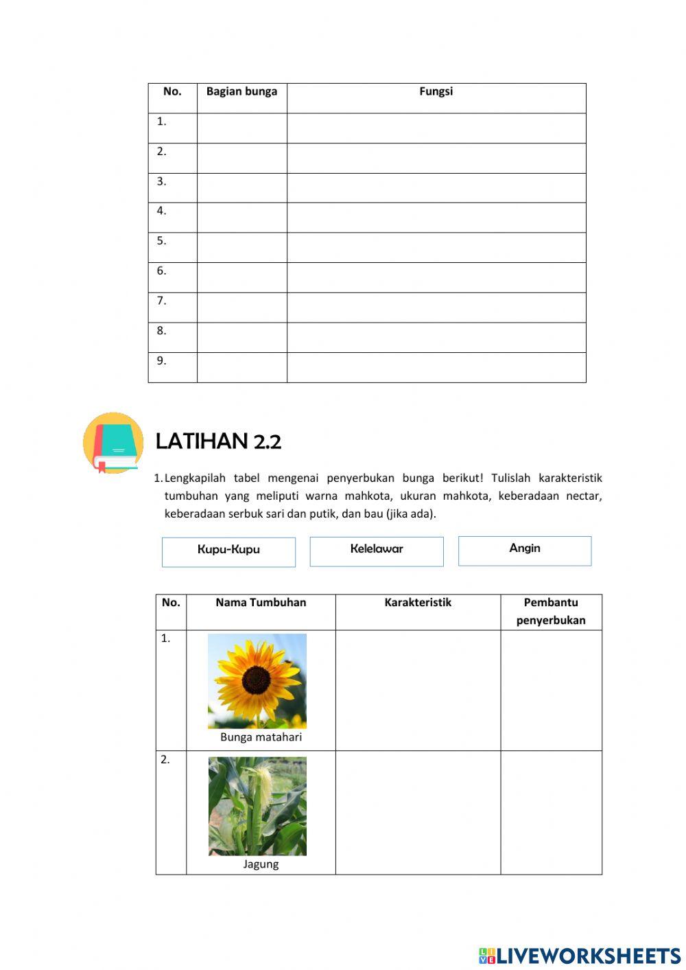 Bagian-Bagian Bunga dan Penyerbukan