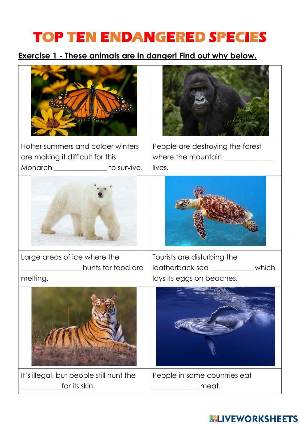 Top Ten Endangered Species - Animals