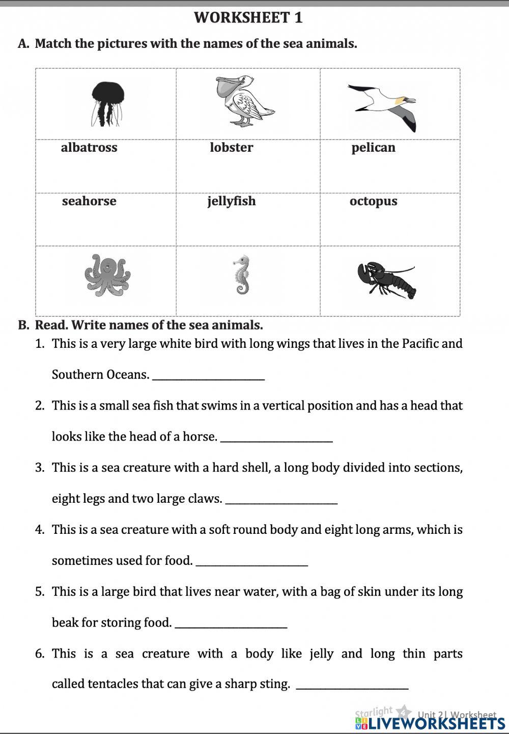 Worksheet 1