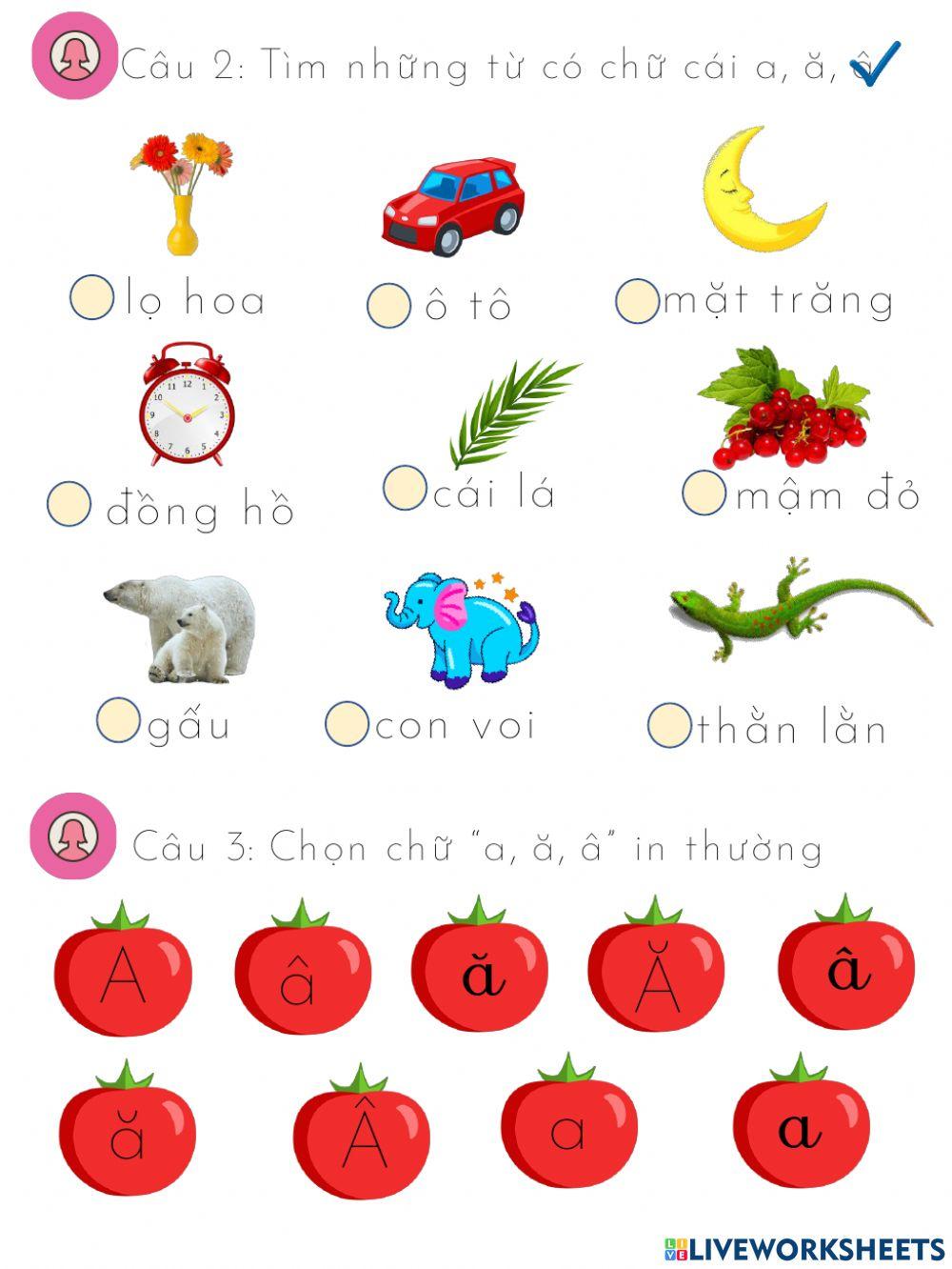 Trò chơi chữ cái a,ă,â