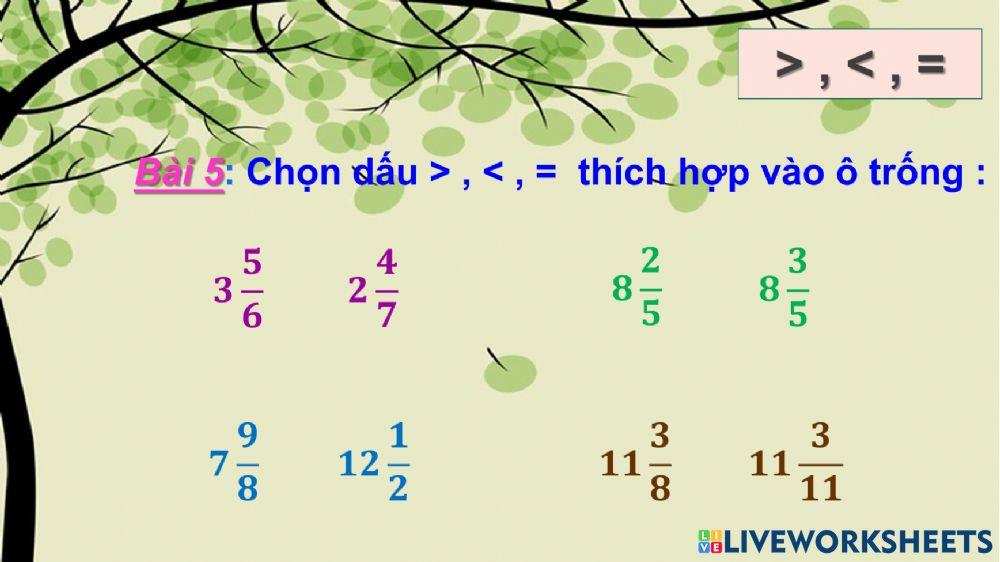 Ôn tập hỗn số và phân số Tuần 5