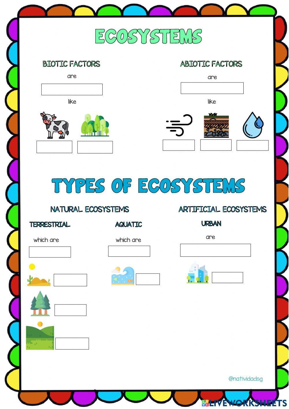 Ecosystem Review Worksheet Science Classroom Ecosystems Ecosystem Images