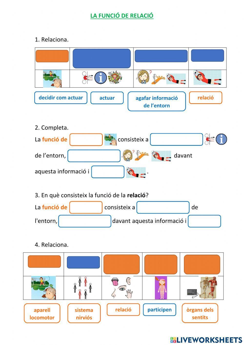 Naturals- La funció de relació (1)