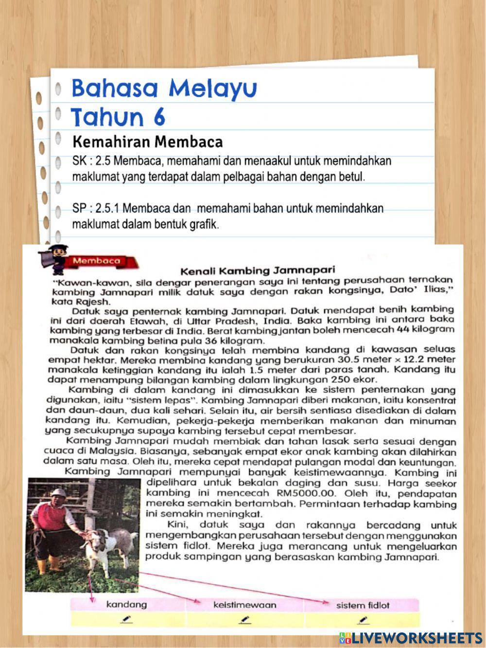 Kenali Kambing Jamnapari