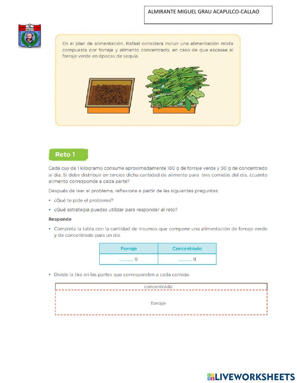 Elaboramos el plan de alimentación para los cuyes