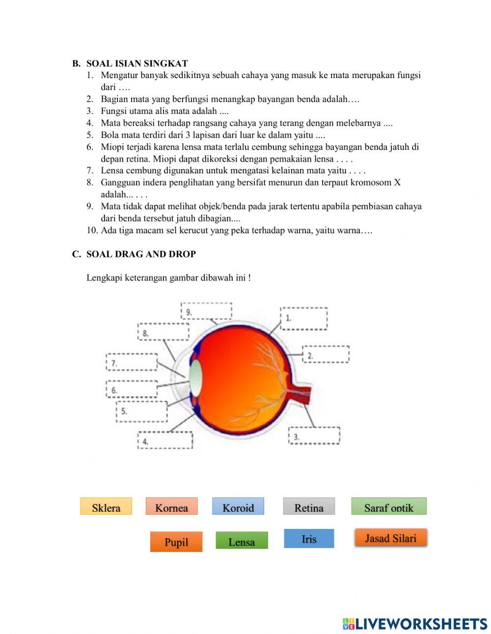 LKPD Sistem Indera (Penglihatan)