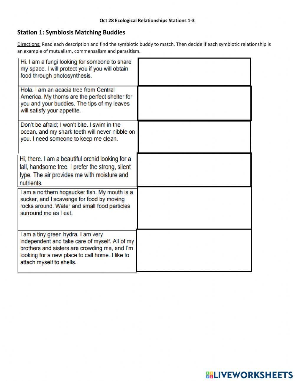 Symbiosis Examples Worksheet