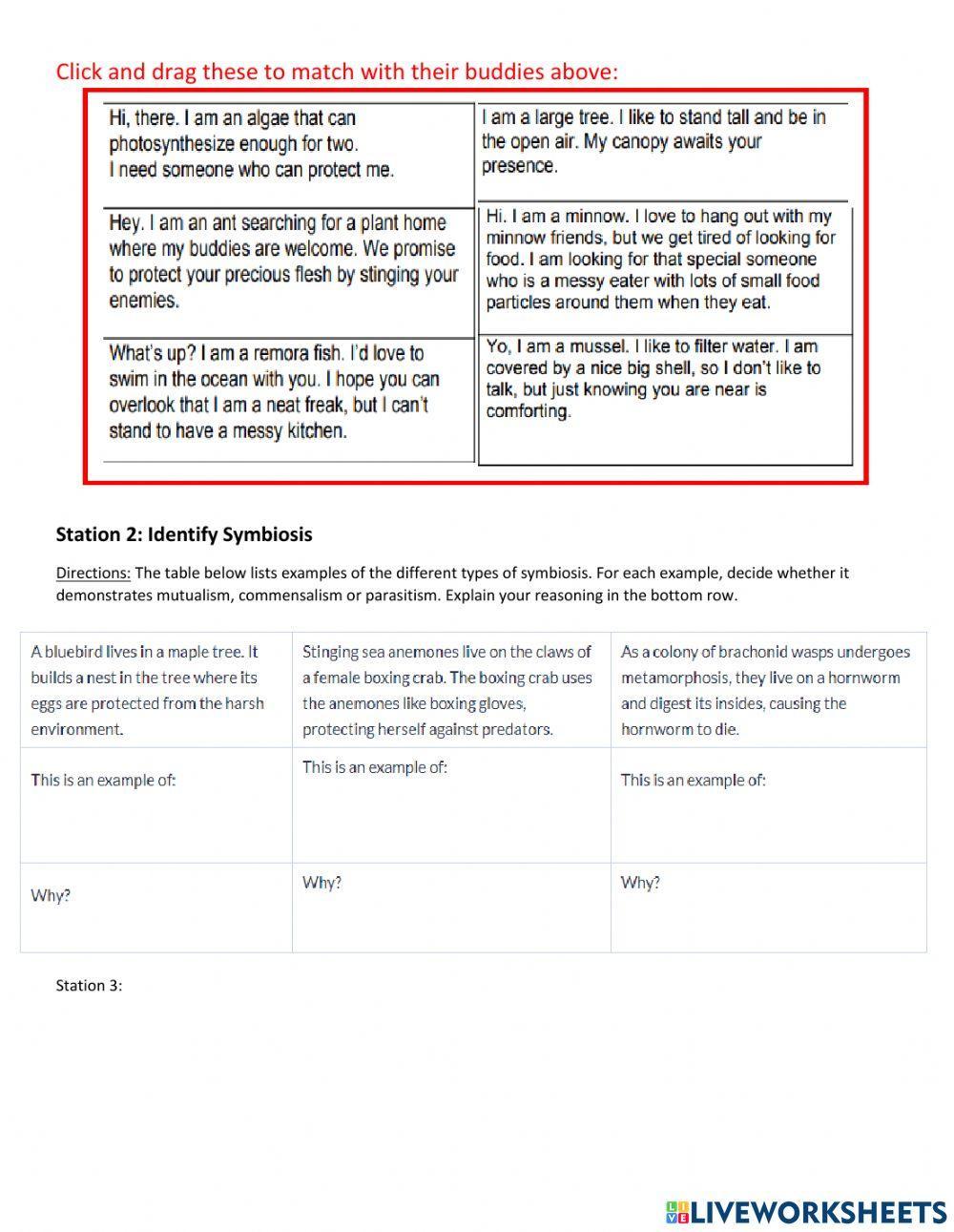 Oct 28 Symbiosis Station 1-3