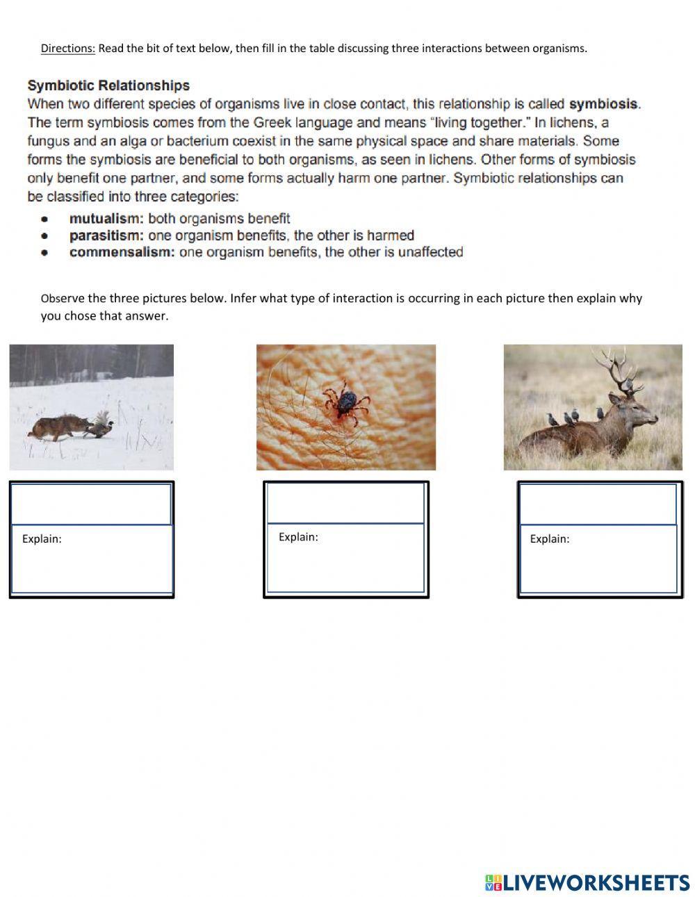 Oct 28 Symbiosis Station 1-3