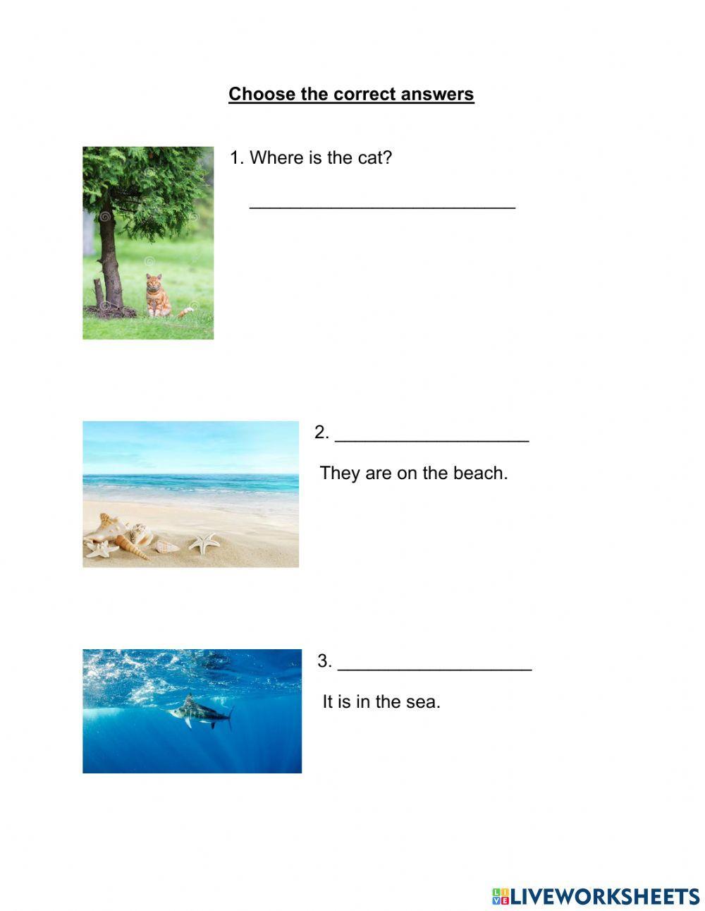 At the beach-where is-are, it is-are