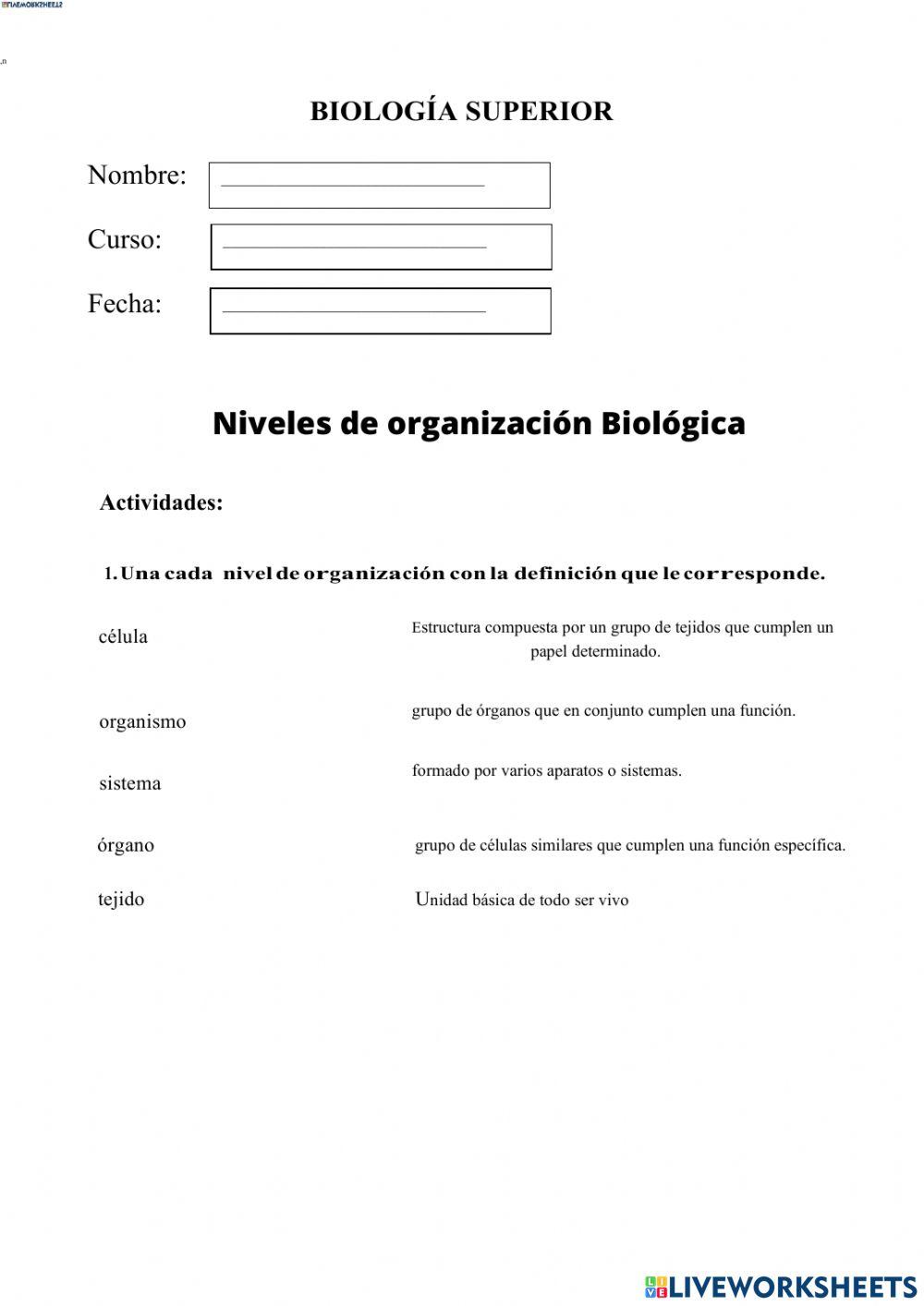 Niveles de organización de los organismos vivos