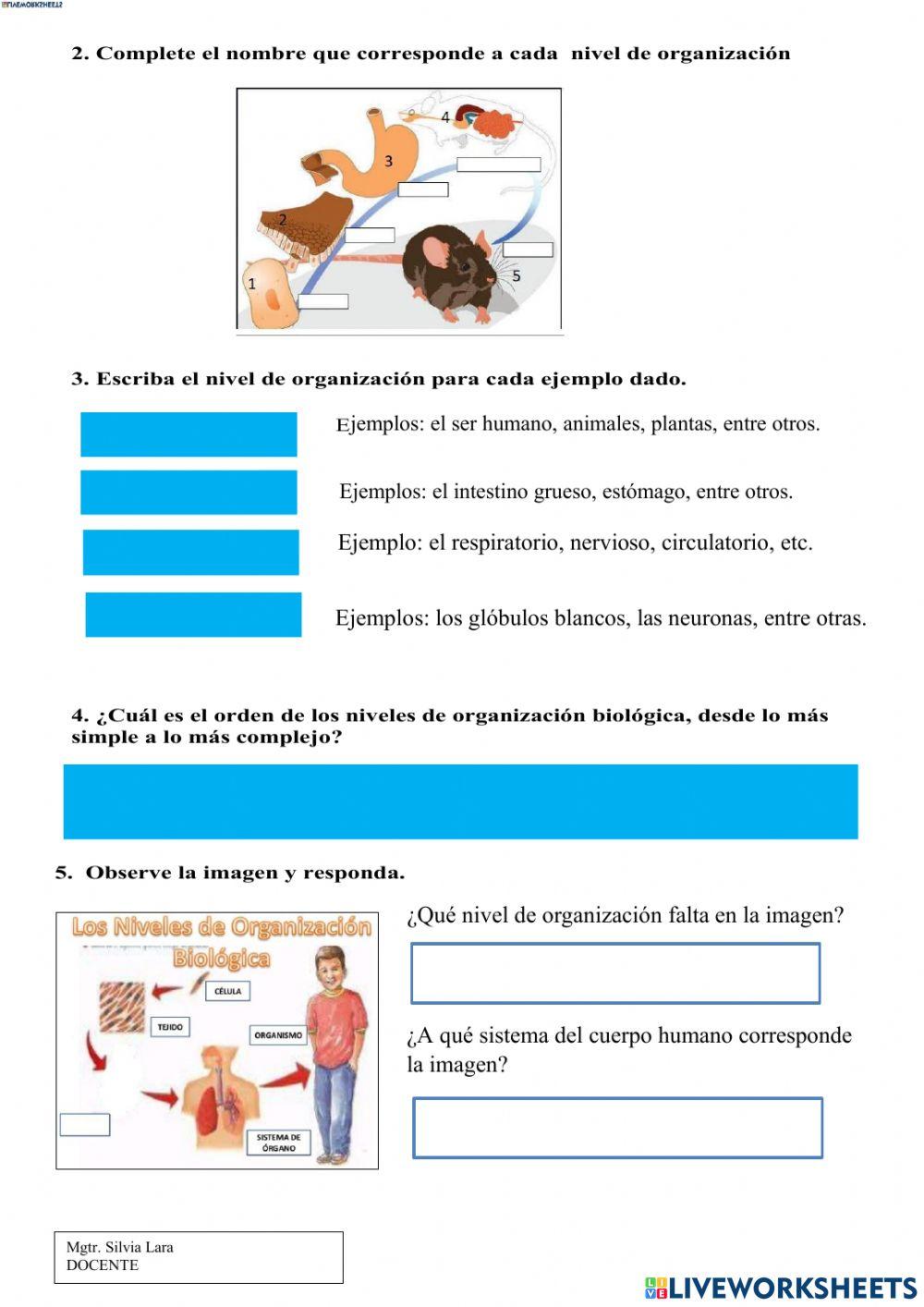 Niveles de organización de los organismos vivos