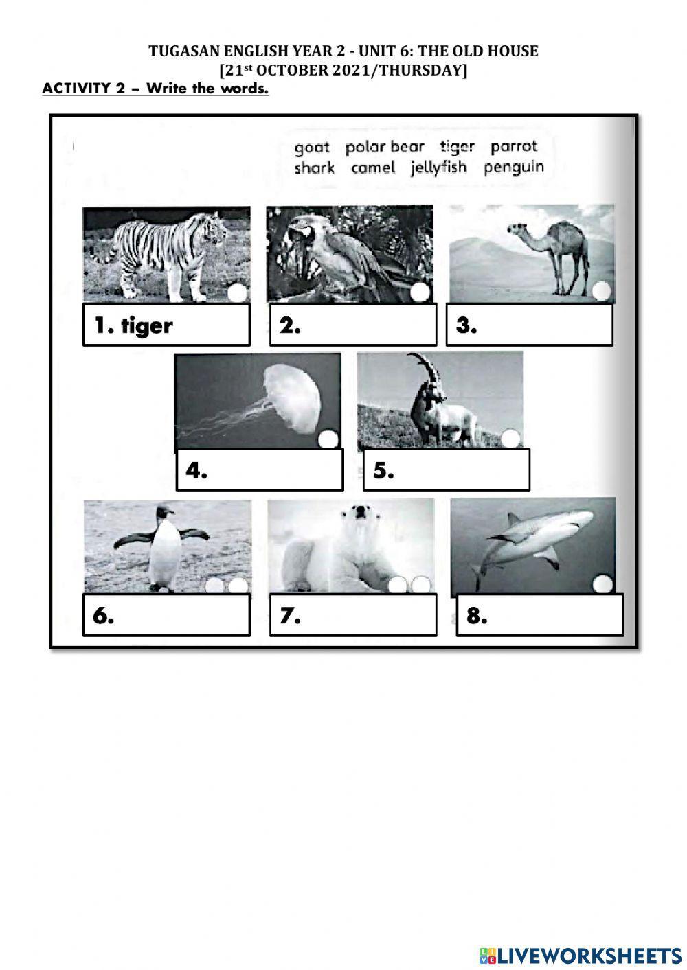 Superminds Unit 6: The Old House (Reading2 Wk5)