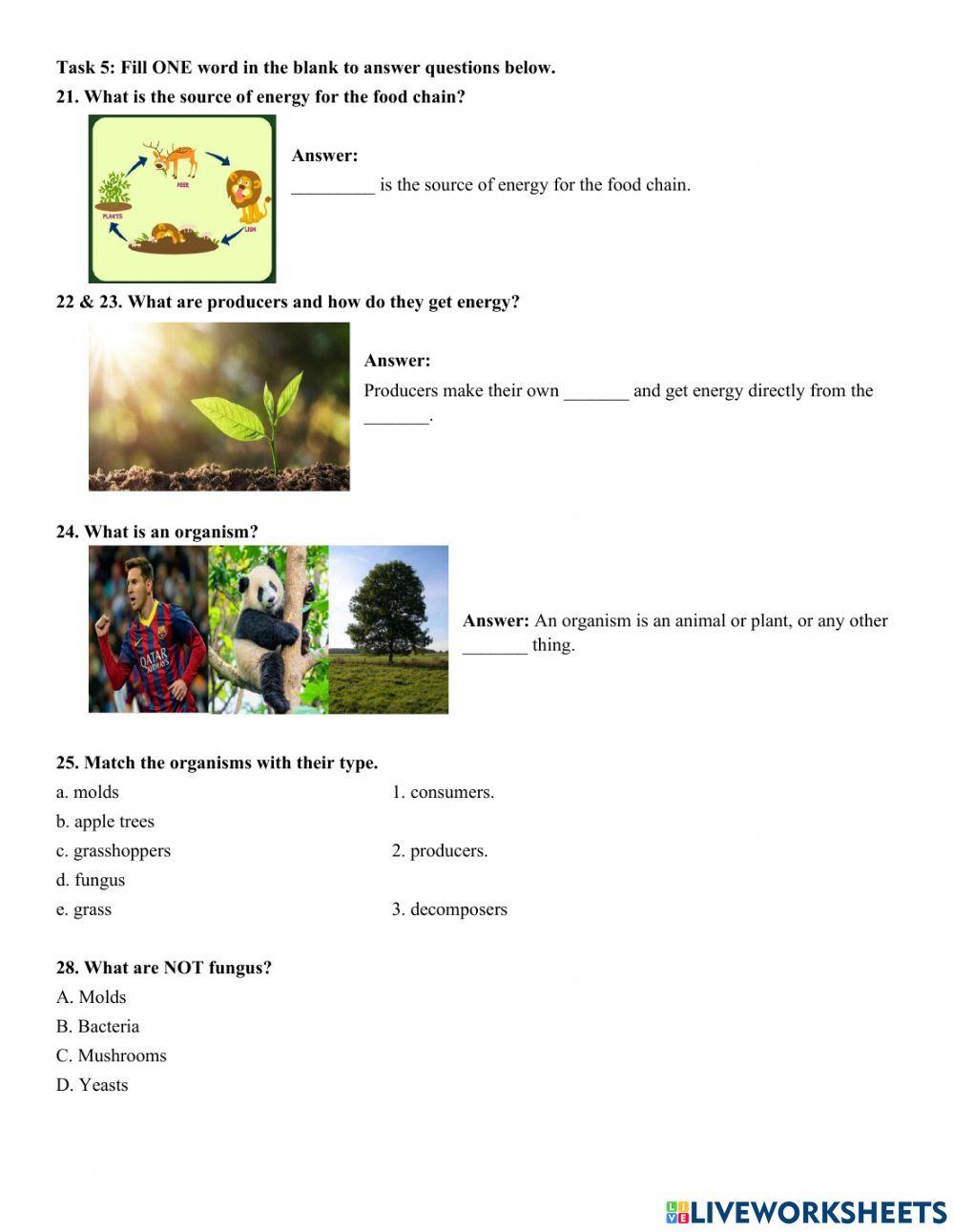 7CLC-science-study guide