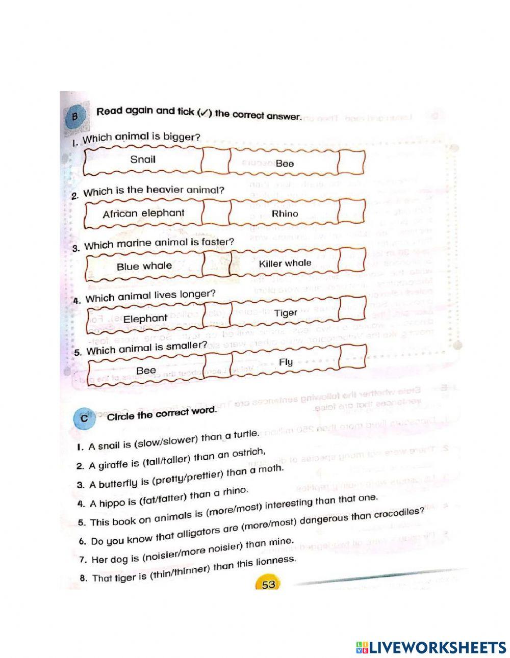 Adjectives Vocabulary  and Sentence Sructure
