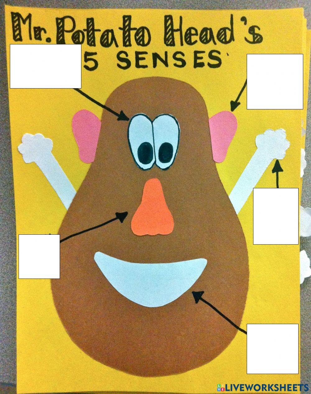 Mr potato head 5 senseS 1546611 elementsoflife Live