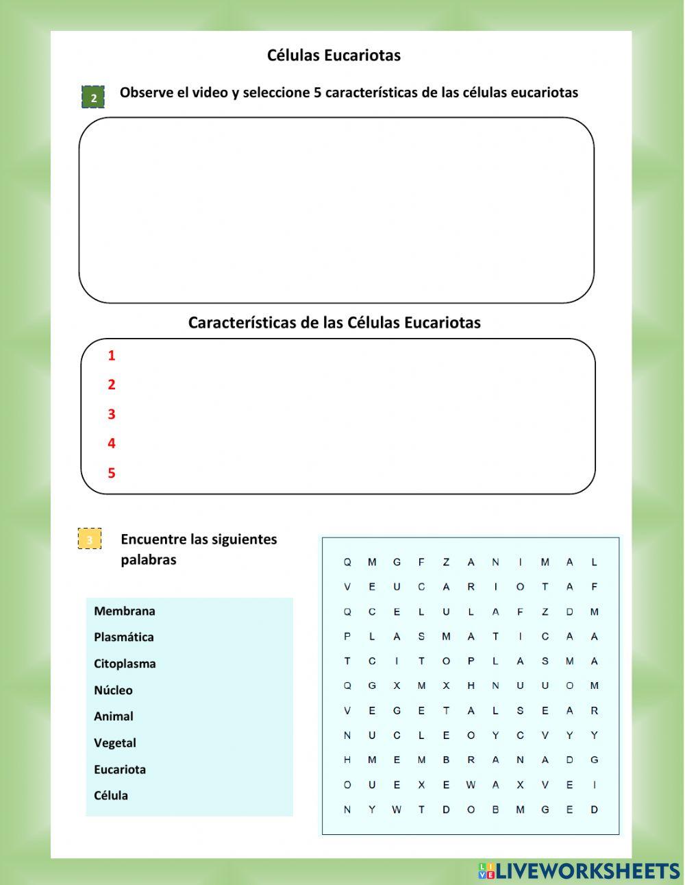 Ciencia Naturales - Act 4