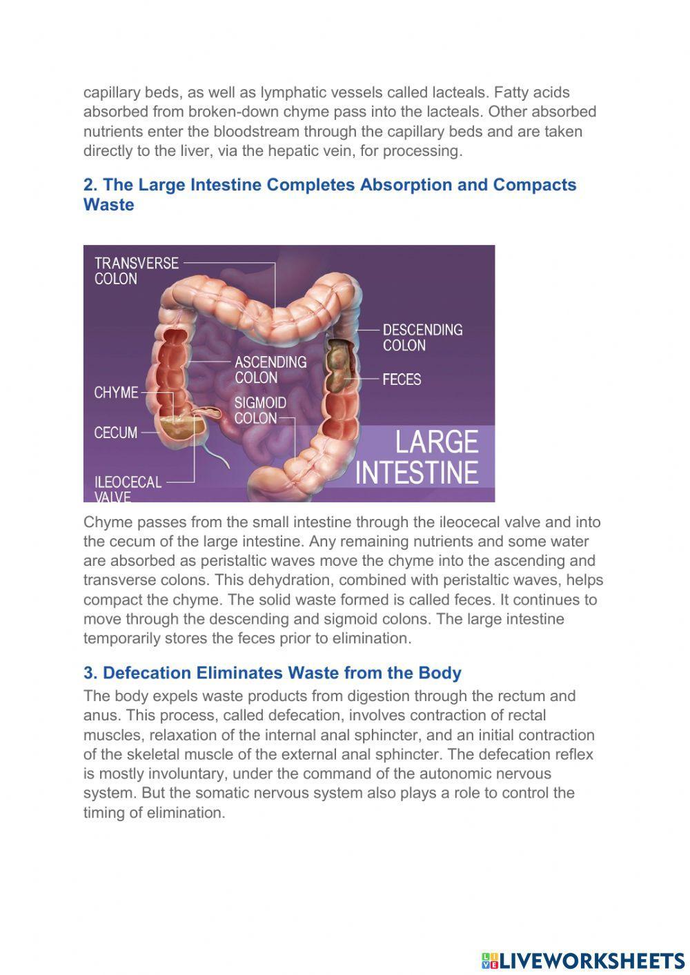 Nutrients In, Waste Out
