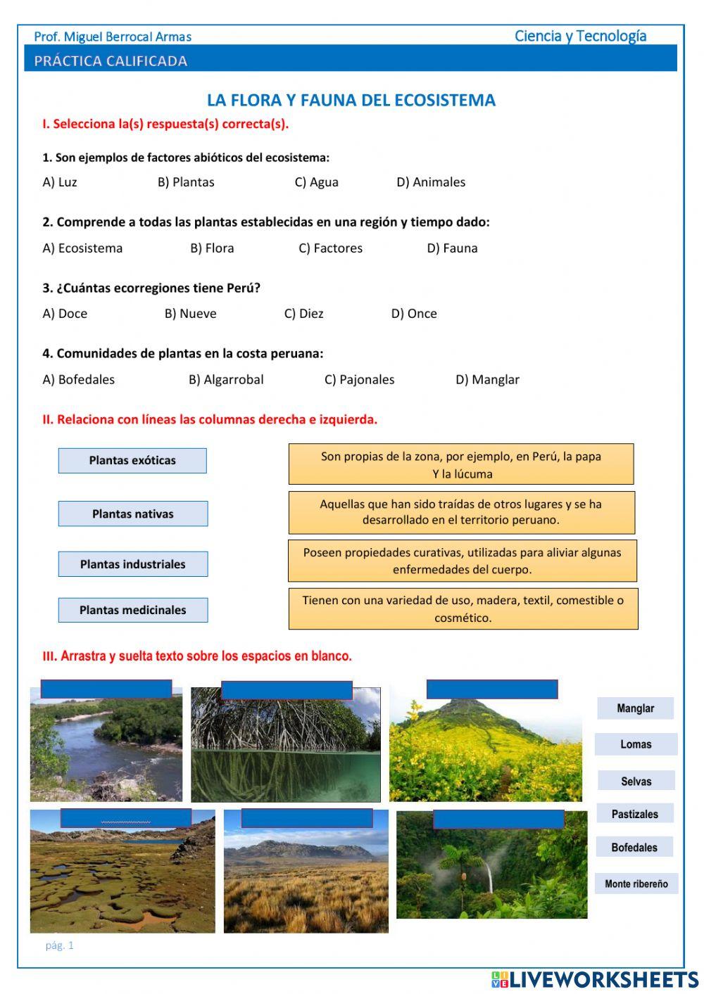 La flora y fauna del ecosistema