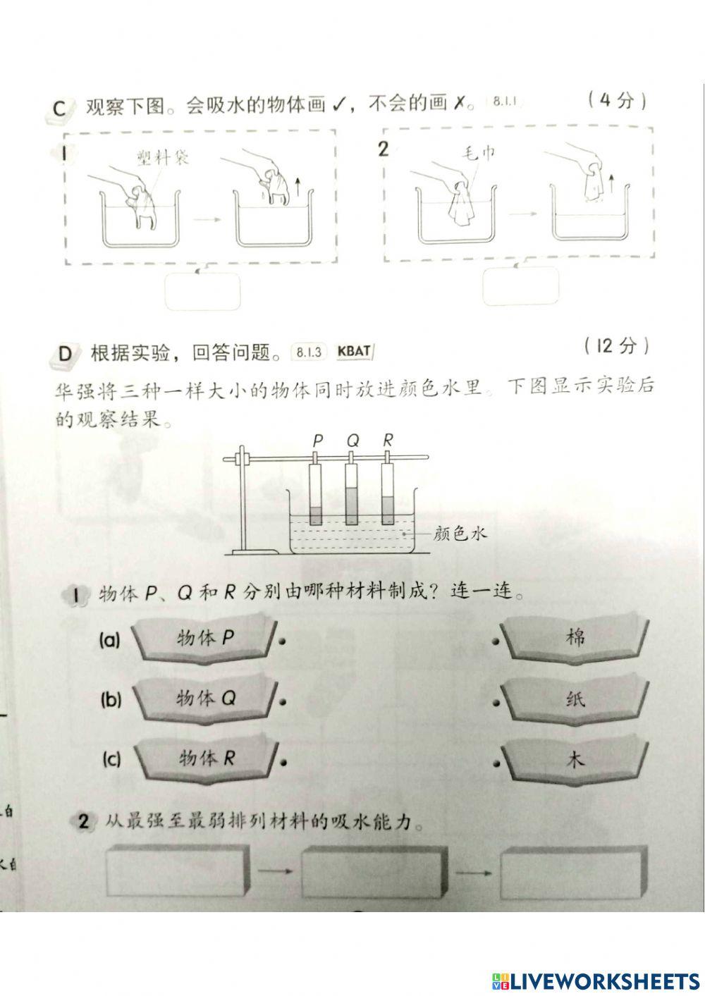一年级科学：吸水能力