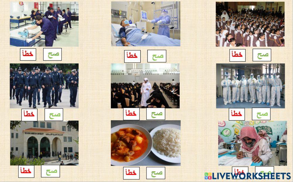 الخصائص الاقتصادية والاجتماعية