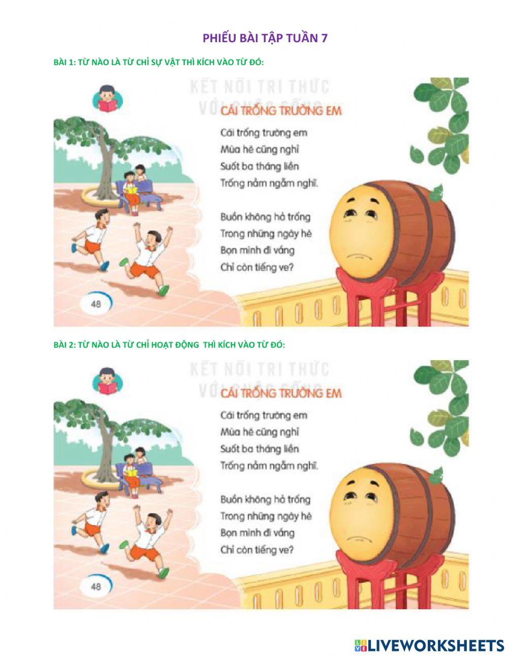 Từ chỉ sự vật, hoạt động