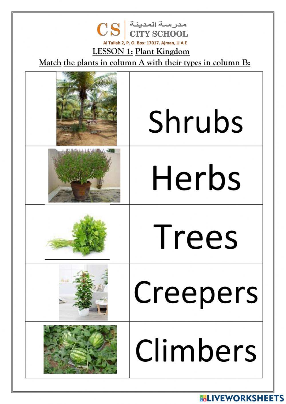 Plant Types - Climbers, Creepers, Herbs, Shrubs and Trees /Google Classroom